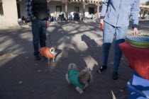 Two people out walking dogs on leads and standing beside a crafts stall in the Plaza opposite the Governors Palace