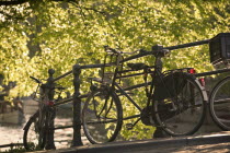 Bicycles leaning against railings on a city centre bridge.TourismTravelHolidaysSpringSunshine Center Netherlands