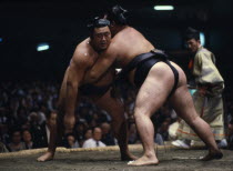 Sumo wrestling.