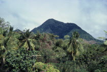 Landscape covered with dense tropical rainforest.
