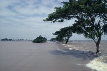 Flooded fields with only trees visible above the water line.