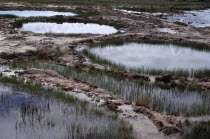 Bomb craters from US bombing.