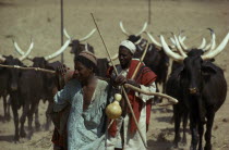 Fulani herdsmen and longhorn cattle.Bororo Fulbe Peul