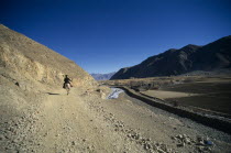 China, Tibet, Shigatse, Man on pony riding along dusty road leading past ploughed fields .