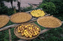 Lemons by the Mekong River