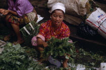 Female vendors in vegetable market.