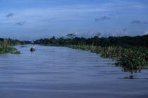 Near Vinh Long - small boats travel on river between mangroves