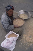 Elderly woman winnowing rice into a sack