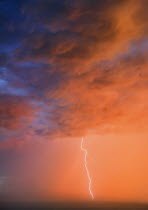 Bolt of lightening at sunset.South AfricaTravelstormdramaticlighteningelectricitynaturecloudsAfrican White