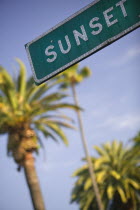 Bel Air. Sunset Boulevard sign.Los AngelesLACommunicationtravelAmericapalm treesBel AirAmerican North America United States of America