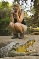 Tourist photographing a crocodile in the Kachikaly Crocodile Pool  a sacred site for local peopleTravelAfricaThe Gambiacrocodilewildlifeteeththreateningdanger African Gambian Western Africa