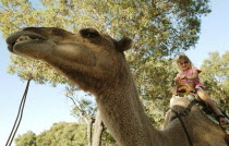 Child riding a camel in Whiteman Park  Perth.Child  Animal  Captive  Tourism Antipodean Aussie Australian Oceania Oz