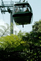 The Skyrail Cablecar to KurandaTransport  Rain Forest Antipodean Aussie Australian Oceania Oz