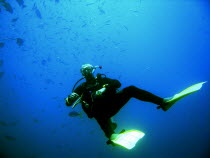 Dive instructor - Dive instructor keeping an eye on his flock.Great Barrier Reef  Diving  Underwater Antipodean Aussie Australian Oceania Oz