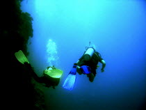 Divers follow the outer edge of the reef  blackness below.Great Barrier Reef  Diving  Underwater Antipodean Aussie Australian Oceania Oz