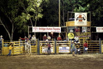 Darwin Rodeo - the bull and rider set off.Sport  Animal  Festival Antipodean Aussie Australian Oceania Oz
