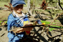 Boy feeding tame Rainbow LorikeetFood  Child  Bird  Animal  Captive Antipodean Aussie Australian Oceania Oz