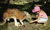 Your girl feeding a kangaroo.Antipodean Aussie Australian Kids Oceania Oz