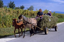 Couple travelling on horse drawn grass laden cartEquestrian Traveling TravelTourismHolidayVacationExploreRecreationLeisureSightseeingTouristAttractionTourDobarskoBanskoBulgariaBulgarian...