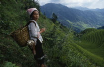 Woman on steep pathway above rice terraces carrying woven basket on her back.Asia Asian Chinese Chungkuo Jhonggu Zhonggu  Asia Asian Chinese Chungkuo Jhonggu Zhonggu