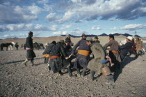 Men stretching felt for a yurt as part of a traditional wedding ceremony.Ger Asia Asian Marriage Mongol Uls Mongolian  Ger Asia Asian Marriage Mongol Uls Mongolian