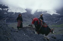 Nomadic children with yak in traditional decorative harness in mountain landscape.Asian Kids  Asian Kids