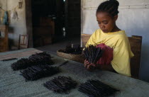 Woman grading vanilla pods.African Eastern Africa Madagascaran Madagasikara  African Eastern Africa Madagascaran Madagasikara