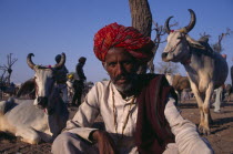 Portrait of man at cattle fair.Asia Asian Bharat Inde Indian Intiya  Asia Asian Bharat Inde Indian Intiya