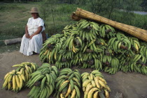 Bananas seller