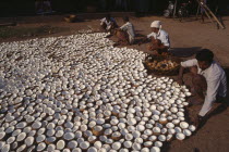 Laying out copra to dry in the sun.Asia Asian Bharat Inde Indian Intiya Kerela Kerala Asia Asian Bharat Inde Indian Intiya Kerela Kerala