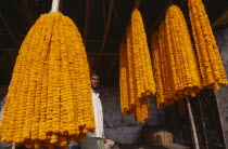 Man standing between orange flower garlands.Asia Asian Bharat Inde Indian Intiya Kolkata Calcutta Asia Asian Bharat Inde Indian Intiya Kolkata Calcutta