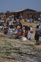 Sugar cane vendors and customers at roadside market.African Eastern Africa Malawian
