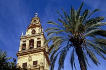 La Mezquita Cathedral. Bell tower and palm tree.TravelTourismHolidayVacationExploreRecreationLeisureSightseeingTouristAttractionTourDestinationTripJourneyCordobaAndaluciaAndalucianAn...