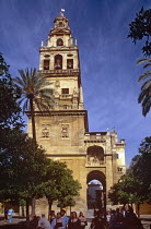 La Mezquita Cathedral.TravelTourismHolidayVacationExploreRecreationLeisureSightseeingTouristAttractionTourDestinationTripJourneyCordobaAndaluciaAndalucianAndalusiaAndalusianSpainS...