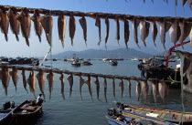 Cheung Chau Island  Fish drying in front of harbour.TravelTourismHolidayVacationExploreRecreationLeisureSightseeingTouristAttractionTourHarbourHarborCheungChauIslandHongKongChinaCh...