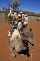 Kata Tjuta National Park  Camel train and riders  Mount Uluru  Ayers Rock.TravelTourismHolidayVacationAdventureExploreRecreationLeisureSightseeingTouristAttractionTourDestinationUluruKa...