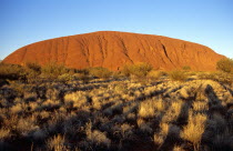 Kata Tjuta National Park  Mount Uluru  Ayers Rock.  Branch of tree in foreground.TravelTourismHolidayVacationExploreRecreationLeisureSightseeingTouristAttractionTourMountUluruAyersAyres...