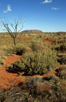 Kata Tjuta National Park  Mount Uluru  Ayers Rock.TravelTourismHolidayVacationExploreRecreationLeisureSightseeingTouristAttractionTourMountUluruAyersAyresRockKataTjutaNationalPark...