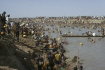 Fishing Festival  mass of men and nets along stretch of river and bank.African Nigerian Western Africa Male Man Guy Male Men Guy