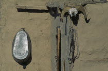 Goat skull charm on wall of building in Kazakh nomad encampment.Asia Asian Gray Mongol Uls Mongolian Religion Grey Religious