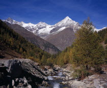 River Taschbach with the Snow capped Weisshorn  Mountain 4506metres  14757ft   on skyline. Trees in autumn colours.European Schweiz Suisse Svizzera Swiss Western Europe Wallis Polynesia Scenic Valais...