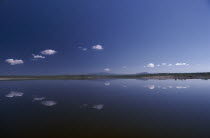 Still clouds reflected in Lake Magadi a placid soda lakeAfrican Eastern Africa Kenyan White Scenic