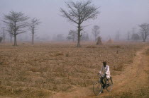 Dry and dusty northeast tradewind or harmattan blowing over groundnut fields near Kaduna  an area of arid agricultural land.  Cyclist in foreground.Conditions bringing higher temperatures. African Ec...