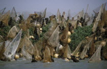 Fishing Festival.  Mass of men and nets at climax of three day festival.African Male Man Guy Nigerian Western Africa Male Men Guy 3