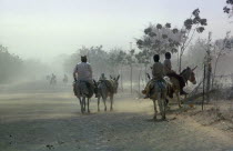 Desertification.  People and donkeys on road in dust storm. African Ecology Entorno Environmental Environnement Green Issues Kids Nigerian Western Africa