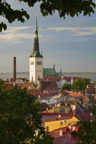View of St Olavs Church from the Upper Town.EuropeCapitalCityHistoricLandmarkOld TownBaltic StatesEstoniaTallinnSt Olavs ChurchEesti European Northern Europe History