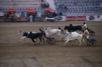 Bullock cart race at the Kila Raipur Rural Sports FestivalAsia Asian Nepalese Bharat Inde Indian Intiya Male Men Guy Male Man Guy Religion Religious Kids Learning Lessons Teaching History Performance...