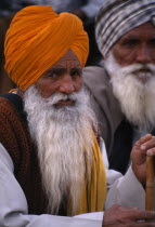 Elderly Sikh man wearing a turban at the Kila Raipur Rural Sports FestivalAsia Asian Nepalese Bharat Inde Indian Intiya Male Men Guy Male Man Guy Religion Religious Kids Learning Lessons Teaching His...
