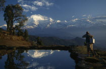 A woman walking next to the pond near a Rhododendron tree at Panchase Bhanjyang at sunrise with Annapurna South and Hiunchuli snow capped mountains behind and reflected in the water of the pond.Asia...