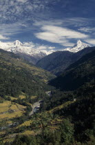 Sanctuary Trek. Elevated view over the Modi Khola Valley with river running through forest and agricultural terracing seen from north of Chandrakot with the snow covered mountains Hiunchuli on the lef...
